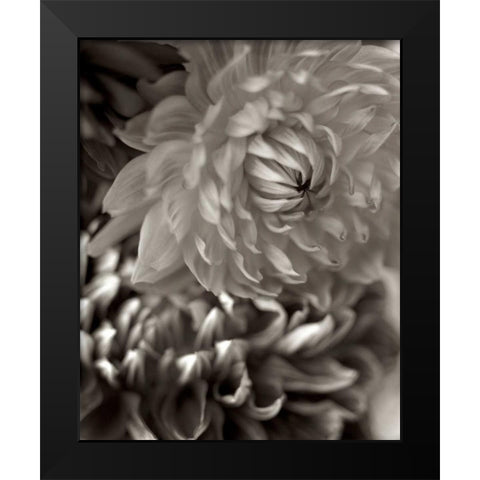 Florison - 10 Black Modern Wood Framed Art Print by Blaustein, Alan
