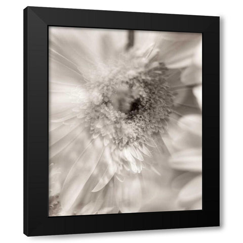 Florison - 5 Black Modern Wood Framed Art Print with Double Matting by Blaustein, Alan