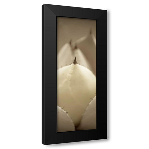 Florison - 67 Black Modern Wood Framed Art Print by Blaustein, Alan