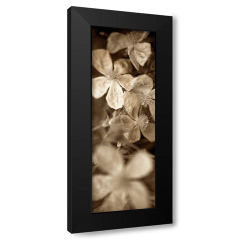 Florison - 69 Black Modern Wood Framed Art Print by Blaustein, Alan