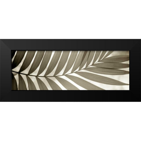 Florison - 98 Black Modern Wood Framed Art Print by Blaustein, Alan
