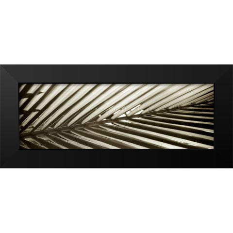 Florison - 100 Black Modern Wood Framed Art Print by Blaustein, Alan