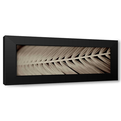 Florison - 99 Black Modern Wood Framed Art Print by Blaustein, Alan
