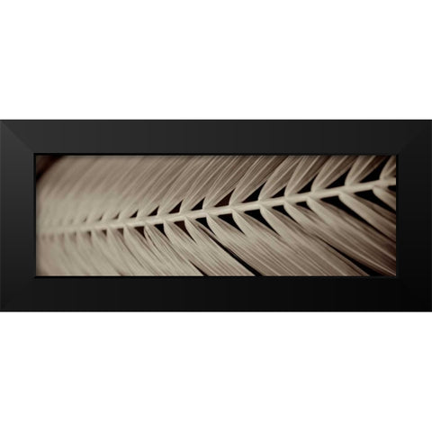Florison - 99 Black Modern Wood Framed Art Print by Blaustein, Alan