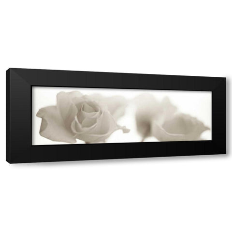 Florison - 103 Black Modern Wood Framed Art Print by Blaustein, Alan