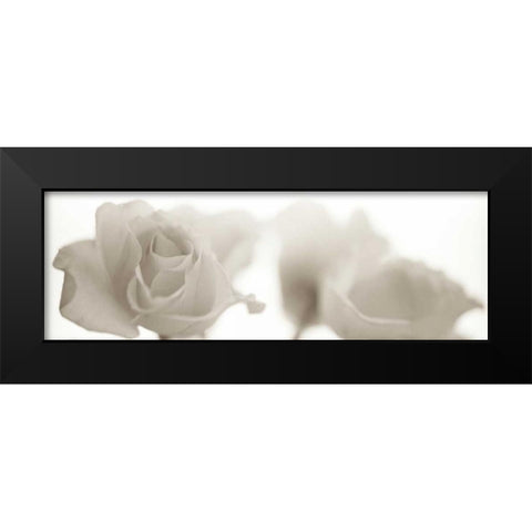 Florison - 103 Black Modern Wood Framed Art Print by Blaustein, Alan