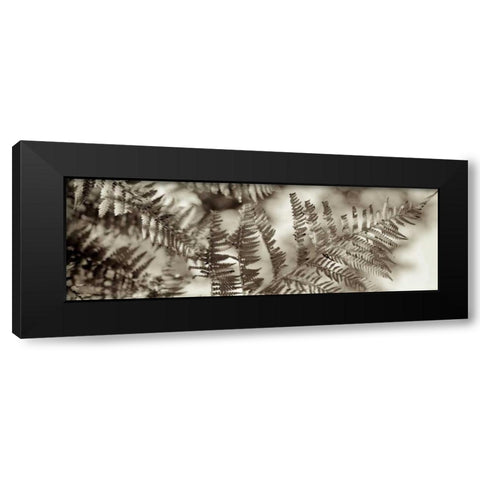 Florison - 101 Black Modern Wood Framed Art Print by Blaustein, Alan