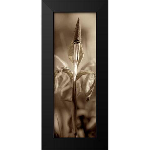 Florison - 74 Black Modern Wood Framed Art Print by Blaustein, Alan