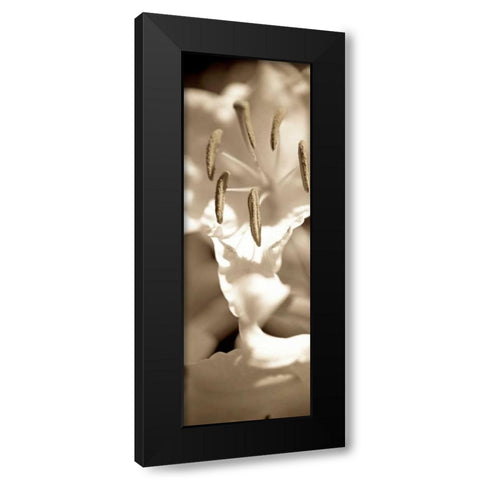 Florison - 75 Black Modern Wood Framed Art Print by Blaustein, Alan