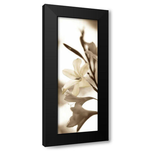 Florison - 76 Black Modern Wood Framed Art Print by Blaustein, Alan
