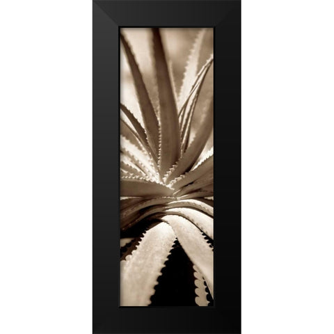 Florison - 77 Black Modern Wood Framed Art Print by Blaustein, Alan