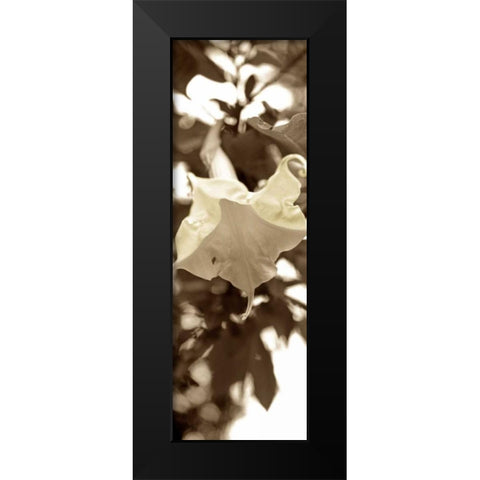 Florison - 78 Black Modern Wood Framed Art Print by Blaustein, Alan