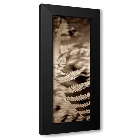 Florison - 80 Black Modern Wood Framed Art Print with Double Matting by Blaustein, Alan