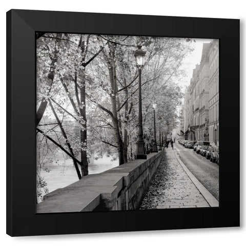 Paris - 23 Black Modern Wood Framed Art Print by Blaustein, Alan