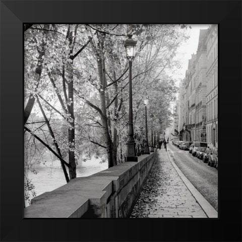 Paris - 23 Black Modern Wood Framed Art Print by Blaustein, Alan