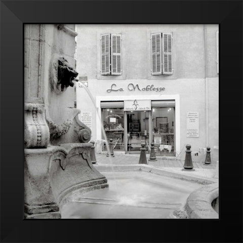 La Noblesse - 2 Black Modern Wood Framed Art Print by Blaustein, Alan