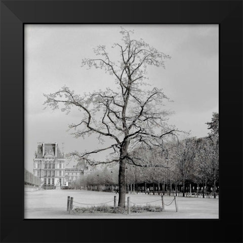 Paris - 22 Black Modern Wood Framed Art Print by Blaustein, Alan