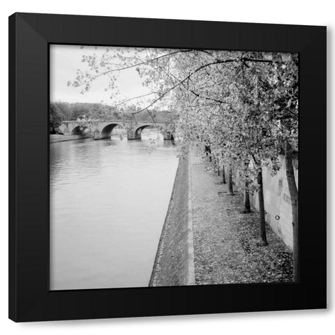 Paris - 10 Black Modern Wood Framed Art Print by Blaustein, Alan