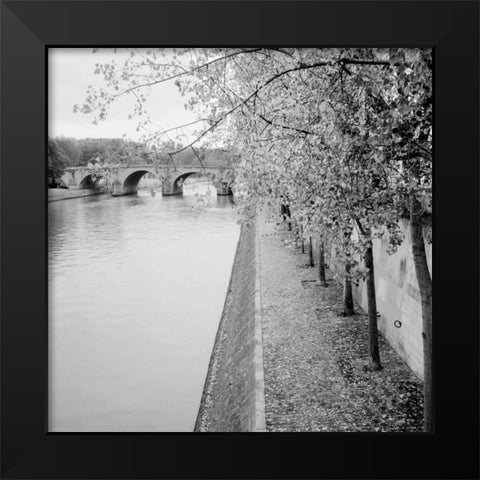 Paris - 10 Black Modern Wood Framed Art Print by Blaustein, Alan