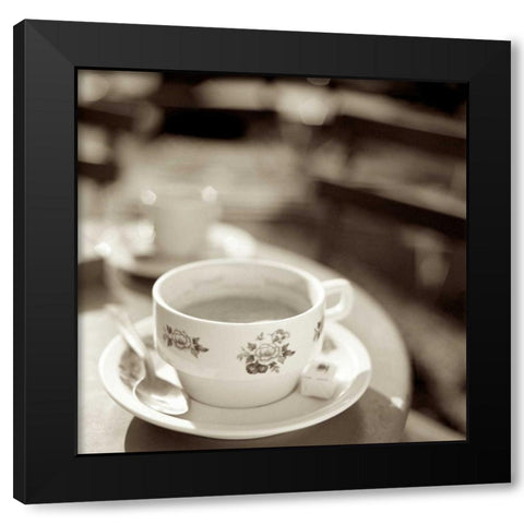 Jardin du Luxembourg 2 Black Modern Wood Framed Art Print by Blaustein, Alan