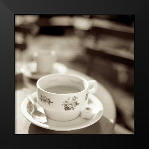 Jardin du Luxembourg 2 Black Modern Wood Framed Art Print by Blaustein, Alan