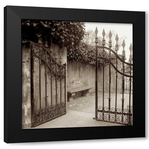 Avignon - 1 Black Modern Wood Framed Art Print by Blaustein, Alan