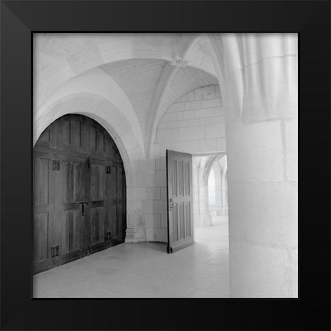 Amboise - 1 Black Modern Wood Framed Art Print by Blaustein, Alan