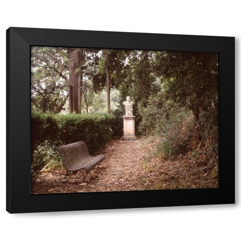 Banc de Jardin - 23 Black Modern Wood Framed Art Print by Blaustein, Alan