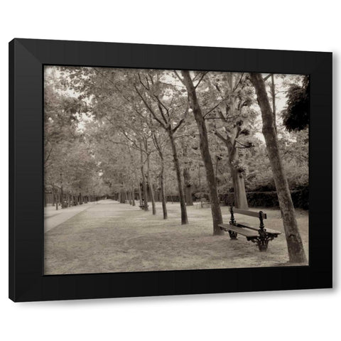 Banc de Jardin - 44 Black Modern Wood Framed Art Print by Blaustein, Alan