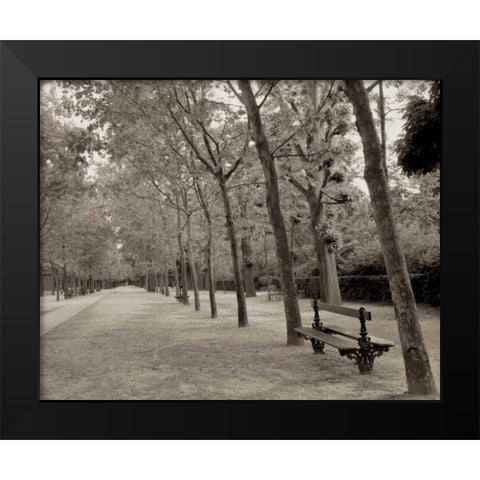 Banc de Jardin - 44 Black Modern Wood Framed Art Print by Blaustein, Alan
