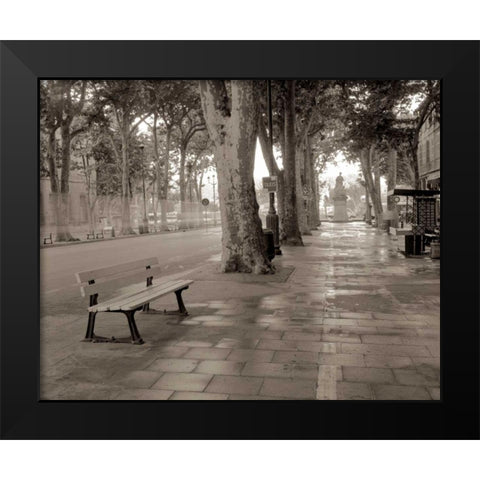 Banc de Jardin - 45 Black Modern Wood Framed Art Print by Blaustein, Alan