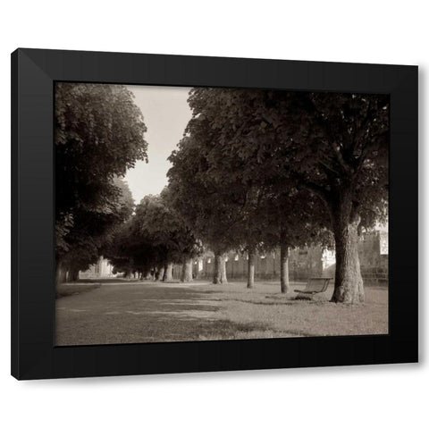 Banc de Jardin - 46 Black Modern Wood Framed Art Print by Blaustein, Alan