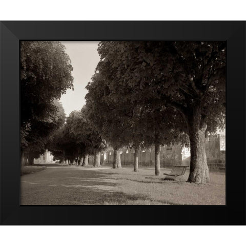 Banc de Jardin - 46 Black Modern Wood Framed Art Print by Blaustein, Alan