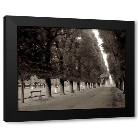 Banc de Jardin - 47 Black Modern Wood Framed Art Print by Blaustein, Alan