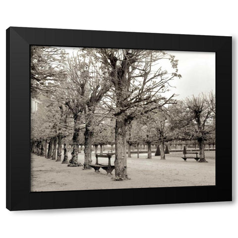 Banc de Jardin - 63 Black Modern Wood Framed Art Print by Blaustein, Alan