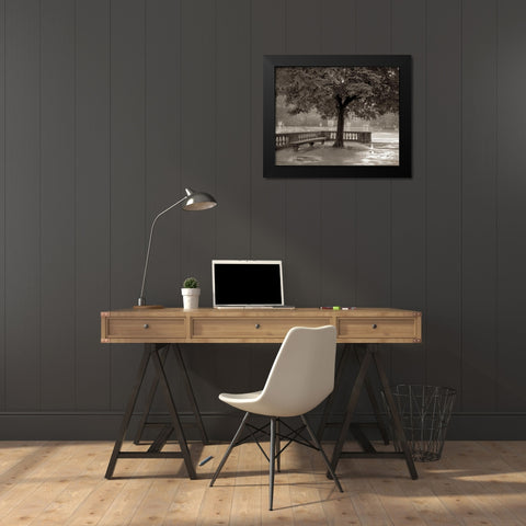 Banc de Jardin - 65 Black Modern Wood Framed Art Print by Blaustein, Alan