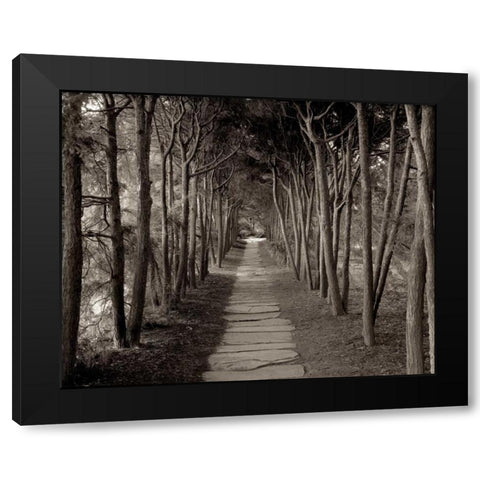 Banc de Jardin - 75 Black Modern Wood Framed Art Print by Blaustein, Alan