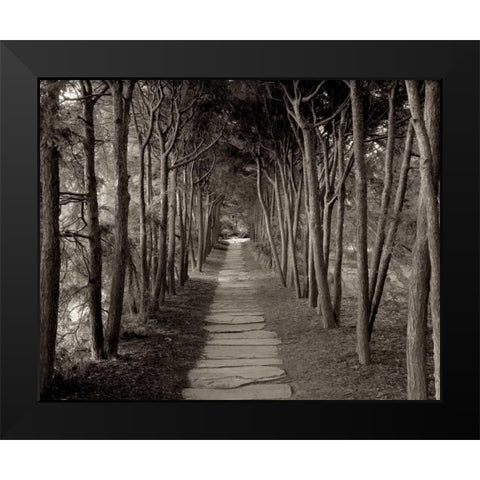 Banc de Jardin - 75 Black Modern Wood Framed Art Print by Blaustein, Alan