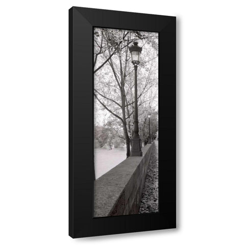 Seine Promenade Black Modern Wood Framed Art Print by Blaustein, Alan