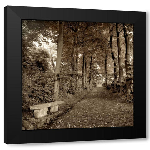 Fiesole Giardini - 2 Black Modern Wood Framed Art Print with Double Matting by Blaustein, Alan