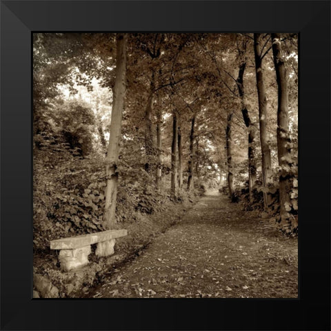 Fiesole Giardini - 2 Black Modern Wood Framed Art Print by Blaustein, Alan