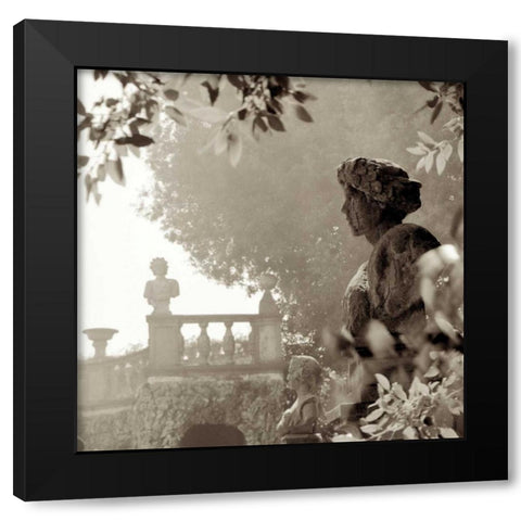 Tuscany - 8 Black Modern Wood Framed Art Print by Blaustein, Alan