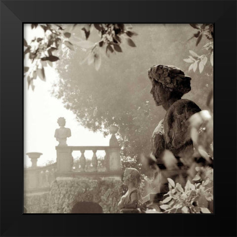 Tuscany - 8 Black Modern Wood Framed Art Print by Blaustein, Alan