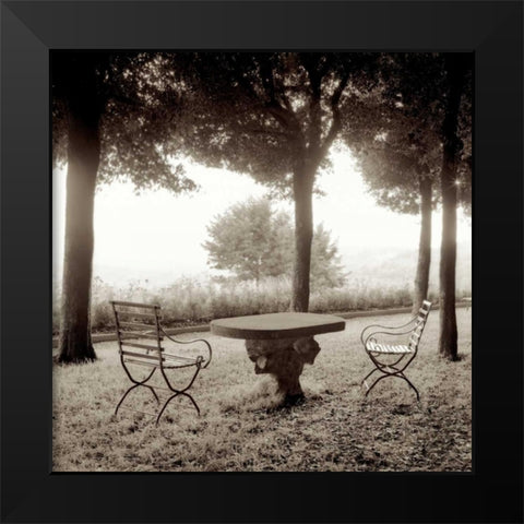 Fiesole Giardini - 1 Black Modern Wood Framed Art Print by Blaustein, Alan