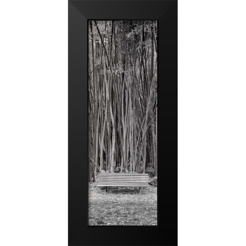 Orto Botanico - 1 Black Modern Wood Framed Art Print by Blaustein, Alan