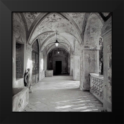 Padova - 1 Black Modern Wood Framed Art Print by Blaustein, Alan