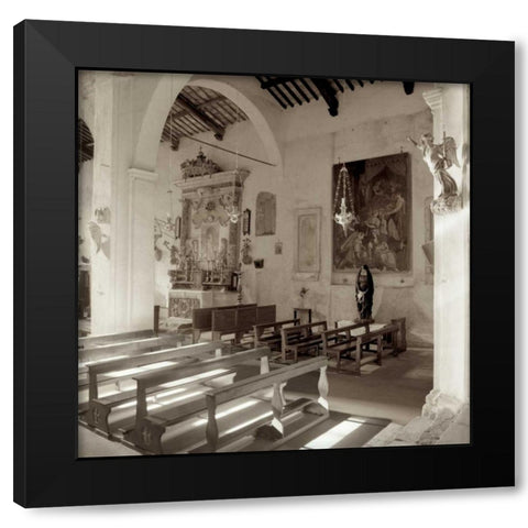 Banogregio - 1 Black Modern Wood Framed Art Print by Blaustein, Alan