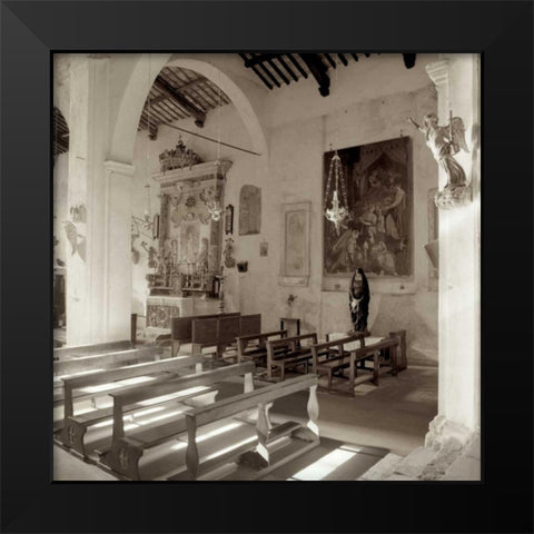 Banogregio - 1 Black Modern Wood Framed Art Print by Blaustein, Alan