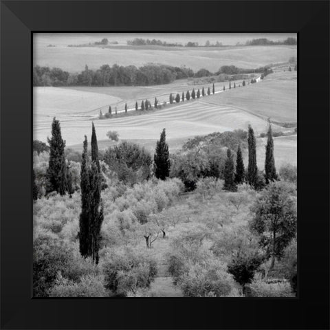 Tuscany - 6 Black Modern Wood Framed Art Print by Blaustein, Alan
