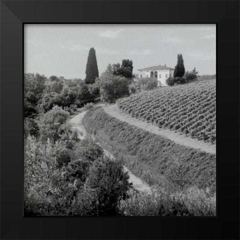 Tuscany - 5 Black Modern Wood Framed Art Print by Blaustein, Alan